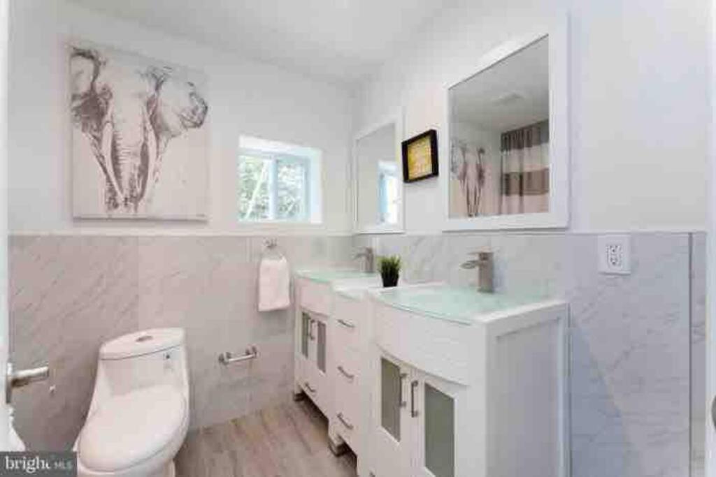 Brand New Home In South Philly!!! Philadelphia Eksteriør billede